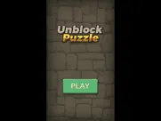 unblock puzzle - brain game ipad capturas de pantalla 1
