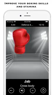 ai boxing iphone capturas de pantalla 2