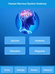 human nervous system anatomy ipad images 1