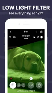 dog monitor buddy & pet cam iphone images 3