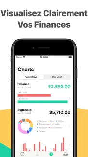 gestion budget - simple money iPhone Captures Décran 3
