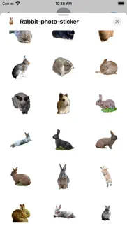 rabbit photo sticker iphone images 2
