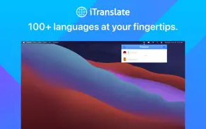 itranslate - translator iphone images 1
