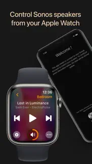 lyd - watch remote for sonos iphone images 1