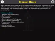 human brain ipad images 1