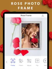 rose photo frames hd ipad images 1