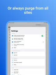 cookie dnt privacy for safari ipad images 3
