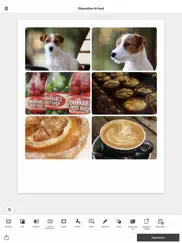 selphy photo layout iPad Captures Décran 3