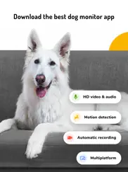 barkio: dog monitor & pet cam ipad images 1