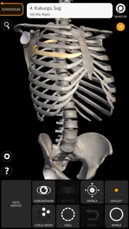 skeleton 3d anatomy iphone resimleri 2