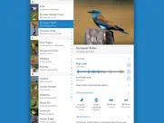 aves 2 lite ipad capturas de pantalla 3