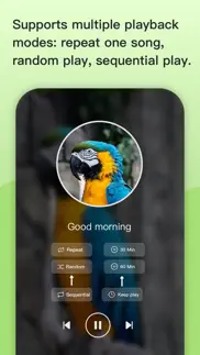 birdtalker-teach bird to talk iphone resimleri 2