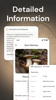 mushroom identification id iphone images 3