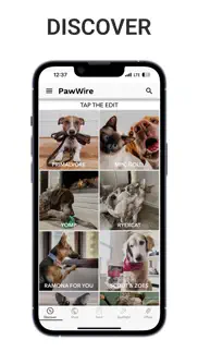 pawwire iphone capturas de pantalla 1