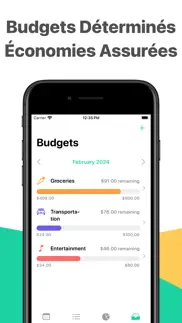 gestion budget - simple money iPhone Captures Décran 2