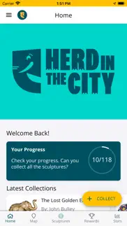 herd in the city 2023 iphone resimleri 1