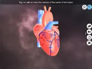 heart - an incredible pump ipad images 1