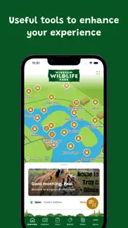 wingham wildlife park iphone images 1