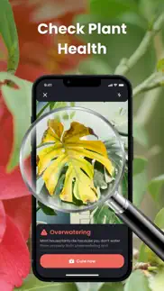 plantin: plante reconnaissance iPhone Captures Décran 3