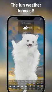 dog days weather live iphone resimleri 1