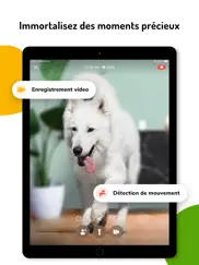 barkio: moniteur pour chien iPad Captures Décran 3