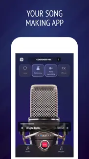 pro microphone: voice record iphone images 2