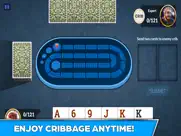 cribbage - offline card game ipad resimleri 2