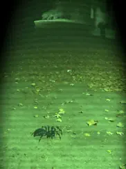 ar spiders айпад изображения 3