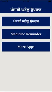 punjabi home remedies guide iphone images 1