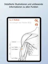 handbuch akupunktur 2023 ipad images 2