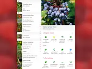 baies et herbes sauvages 2 pro iPad Captures Décran 3