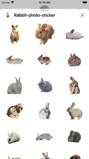 rabbit photo sticker iphone images 1