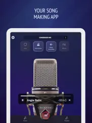 pro microphone: voice record ipad images 2