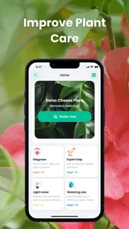 plantin: plante reconnaissance iPhone Captures Décran 2