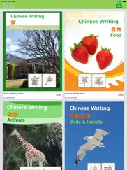 write chinese knowlemedia ipad images 1