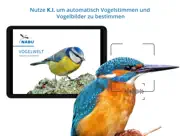 nabu vogelwelt ipad images 1