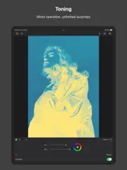 picsso - colorize the photo ipad images 2