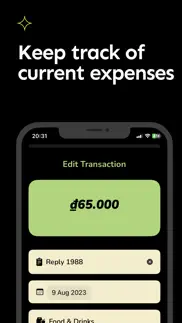 expense cap - expense tracker iPhone Captures Décran 3