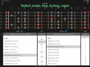 anyscale - tunings & scales ipad images 2