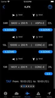 easy aviation weather - wx iphone resimleri 4
