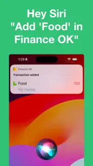 finance ok - finance tracker iphone images 3