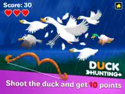 duck hunting - bird simulator ipad images 2