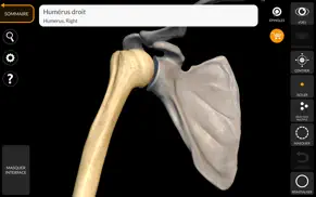 squelette anatomie 3d iPhone Captures Décran 4