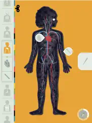 el cuerpo humano por tinybop ipad capturas de pantalla 4