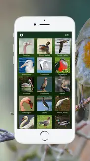 bird songs europe north africa iPhone Captures Décran 3