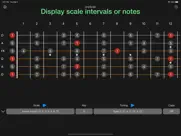 anyscale - tunings & scales ipad images 1