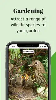 bbc wildlife magazine iphone resimleri 4