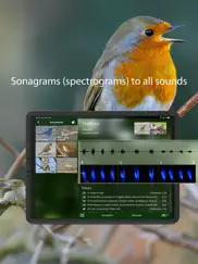 bird songs europe north africa ipad capturas de pantalla 3