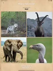 safari matching ipad images 4