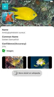 fish id - fish identifier iphone images 2